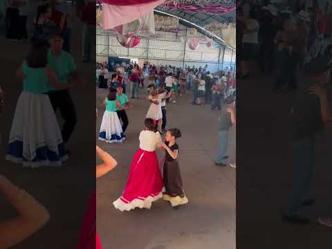 Bailão animado no Encontro Regional em Jundiaí do Sul-PR.   #bailãoaovivo #bugio #terceiraidade