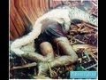 the world's biggest snake found alive!!! NEW 2013 ...