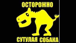 BM Hunter 926 top dps (хантер сказал дпс сегодня не выйдет)
