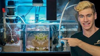 How to: Build DIY Aquarium Top Filter (Overhead Sump Filter)
