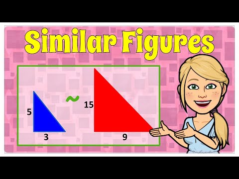 Understanding Similar Figures | 8.G.A.4 💗