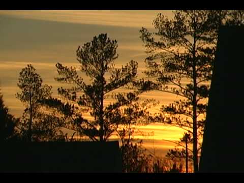 Brand New Colony Music Video