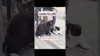 Download lagu waah asik nih senam nya #senamsehat #senamviral mp3