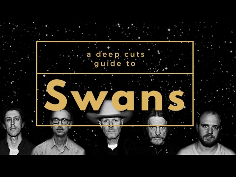 A Guide to SWANS