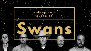 A Guide to SWANS
