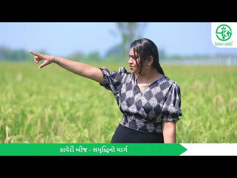 Kaveri Seeds wishes all farmers, dealers, and distributors a very Happy Diwali