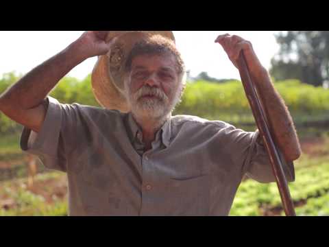 Produtos Agroindustriais - Repórter Vinicius Almeida - Caminhos do Oeste