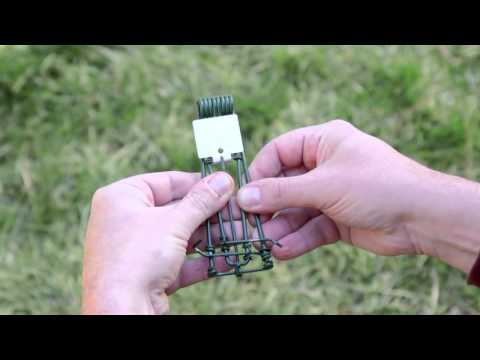 How to Set a Gopher Trap