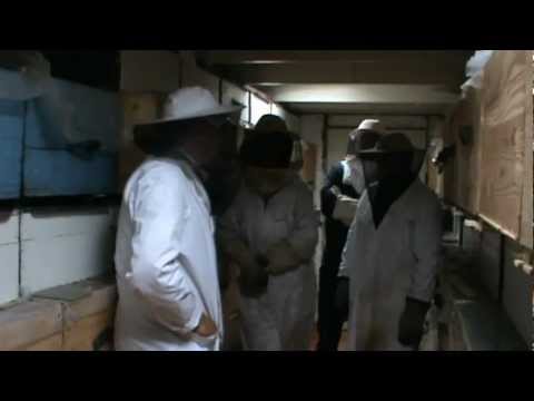 2. Apicultura practica -  Discutie sinteza cu ucenicii mei despre cunostintele acumulate 2/4