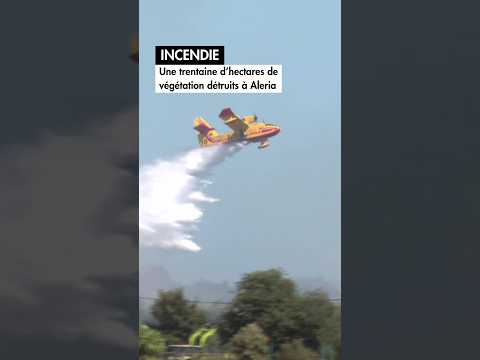 Wildfire - Around 30 hectares of vegetation destroyed in Aleria