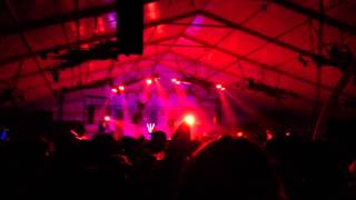 Totally Enormous Extinct Dinosaurs | Your Love | Sasquatch 2013