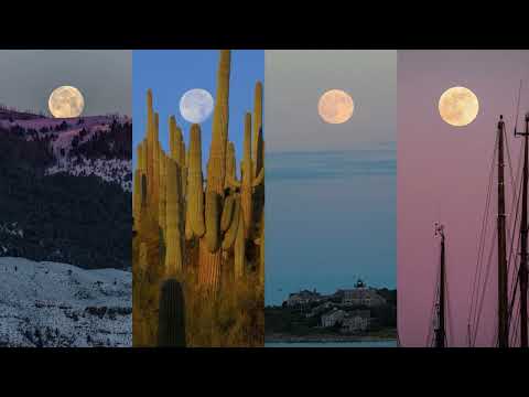 What's Up: August 2023 Skywatching Tips from NASA