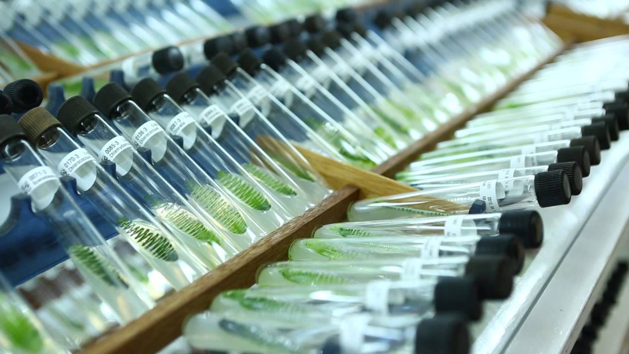 국립부경대학교 공식 홍보 영상 - YouTube