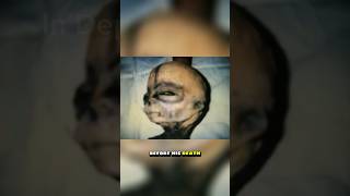 Download lagu Boyd Bushman shows a series of photographs of an alien being before his death #shorts #alien #ufo mp3