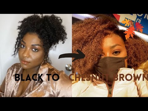 DYING MY NATURAL TYPE 4 HAIR CHESTNUT BROWN (NO...