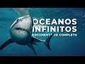 OCEANOS INFINITOS Uma Jornada Pelos Oceanos Do Mundo Documentário Completo