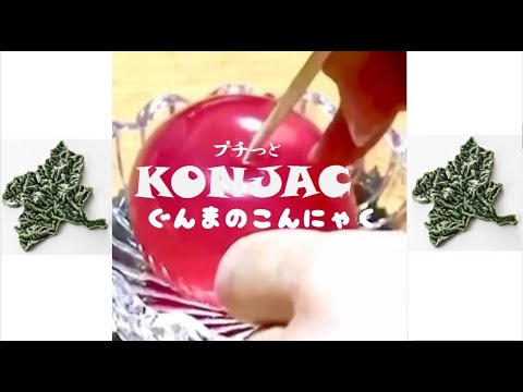 国際学科 【群馬土産】てんぐの玉手箱（マイティーコンジャック こんにゃく工房迦しょう　さん）