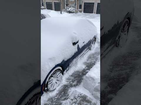 Sedan or SUV in the Snow?