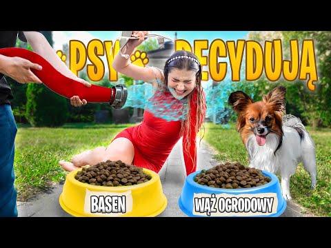 PSY DECYDUJĄ O MOIM DNIU!