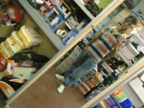 YOZGATTERROR - GERİLLA BUNLAR