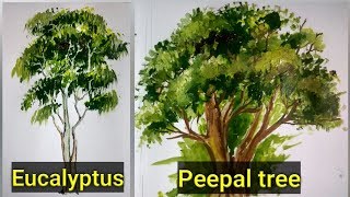 How to draw and paint Eucalyptus and Peepal tree in Acrylic