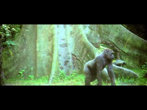 pourquoi c'est important la biodiversité