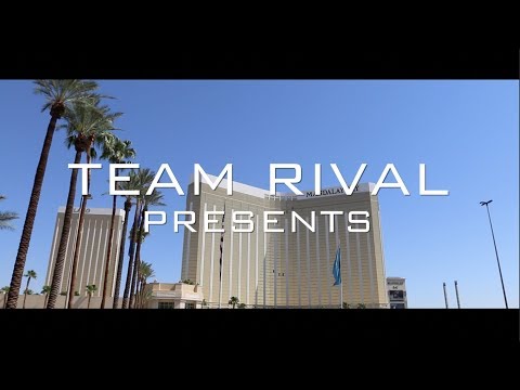 EVO 2017 - The Smash 4 Major Championship