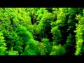 Halosphere - Run Away (Original Mix Edit) 