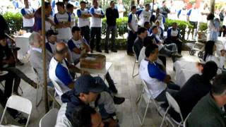 Apresentação e Agradecimento