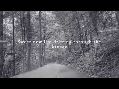 Thumbnail for SPRING video