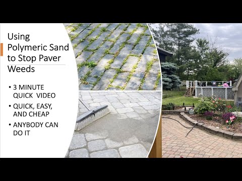 How to Stop Weeds from Growing Between Patio Pavers or Concrete