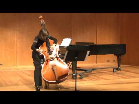 Miloslav Gajdoš, "Zingaresca", Justyna Grudzinska - double bass