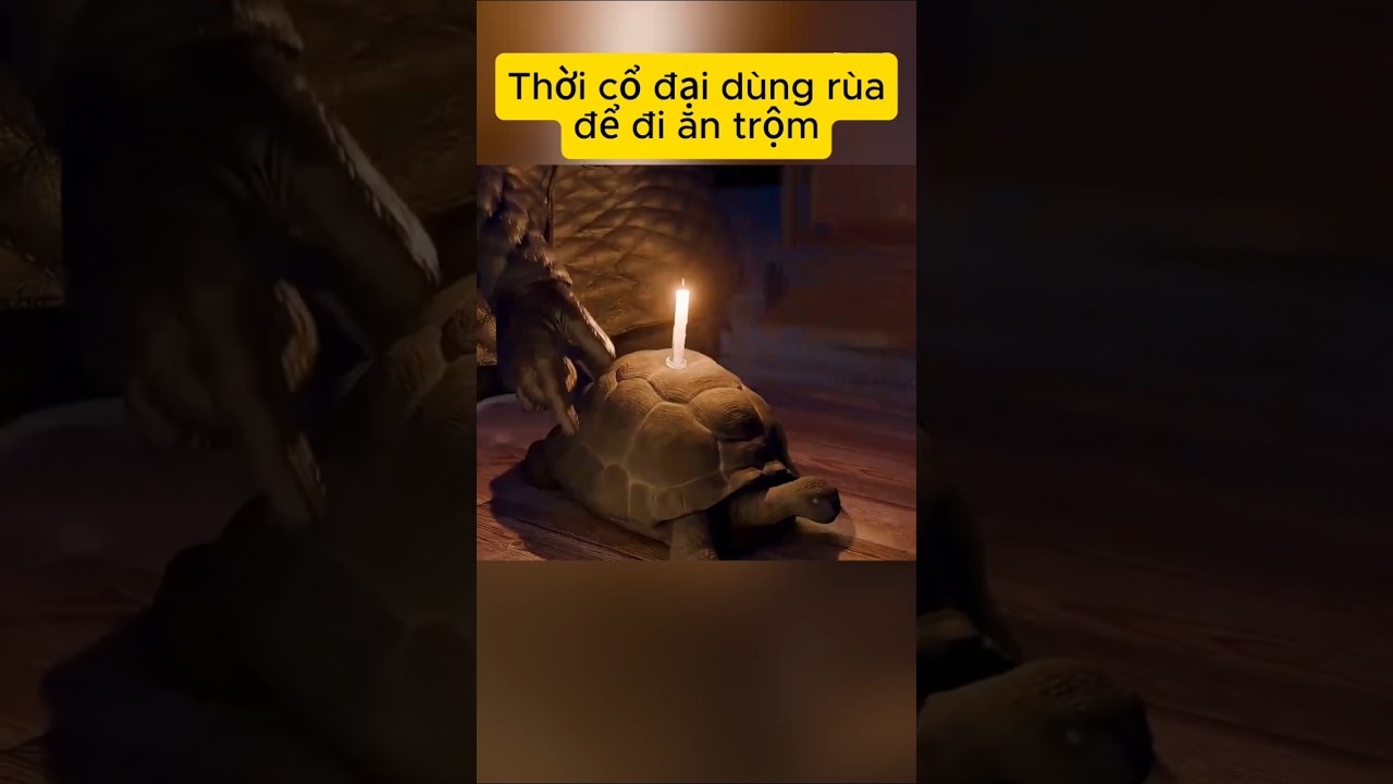 Thời cổ đại dùng rùa để đi ăn trộm