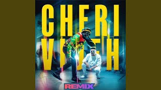 Download lagu Cheri Videh Remix (DJ Hari) mp3