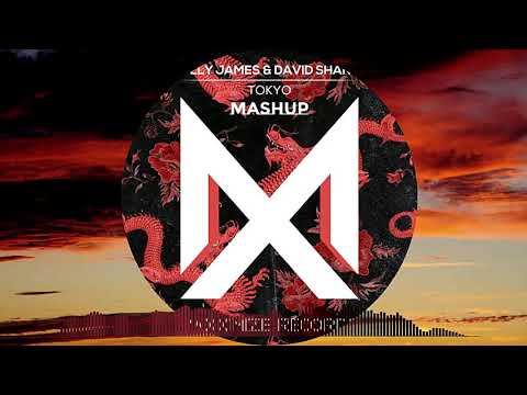 Olly James & David Shane - Tokyo (Mashup)