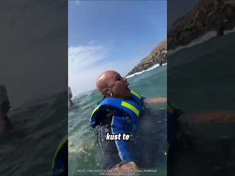 Ze hadden niet verwacht dat ze, toen ze de kust naderden, deze dieren zouden tegenkomen 😱