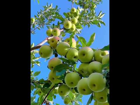 Beautiful of Nature- Love ❤️ of Nature || Dr.pratap ks