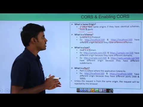 REST API CORS and Enabling CORS