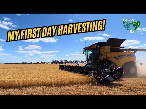 CR 9.90 CUTTING BARLEY IN VICTORIA🇦🇺