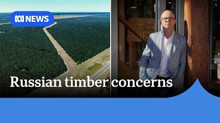 Forestry industry says Russian timber pushing out Australian products | ABC NEWS