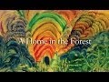 Too Far - Rich Shapero with Maria Taylor - A Home in the Forest