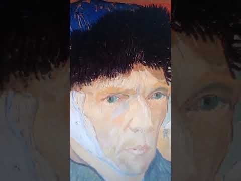 ????????‍????????Starry, Starry Night - Vincent van Gogh - Cover - Vincent - Pavel Bobek - Vincent versus Anime