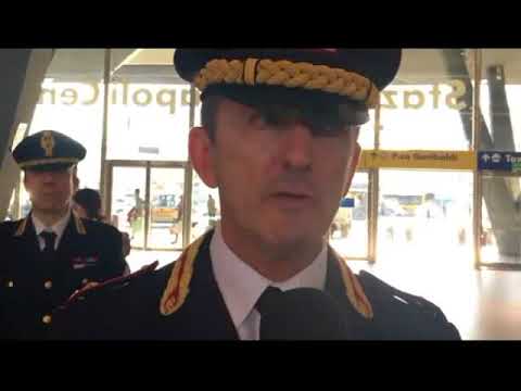 MICHELE SPINA POLFER 17MAG