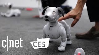 Best tech of CES 2018