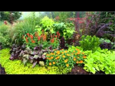 #Contemporary_Music Albena KECHLIBAREVA   "His Father's courtyard"  by Pencho STOYANOV - LIVE