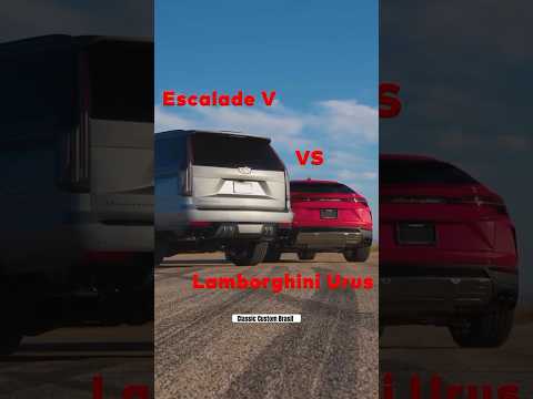ESCALADE V VS LAMBORGHINI URUS 🔊🔊🔊