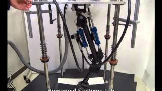 Active force control of a hydraulic leg (IROS2013)