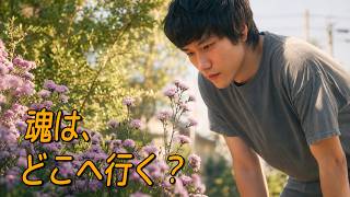 あぁ…この映画だけは最後まで観てほしい。人生の見え方が少し変わるかもしれません【映画紹介】
