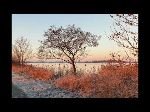 Speelwark - Kold geiht de wind
