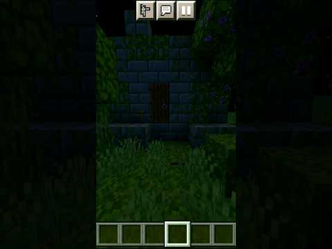Spooky Minecraft Wither Skeleton Hunt